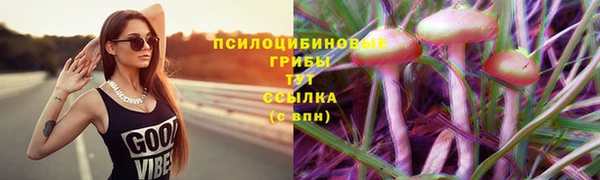 винт Алексеевка