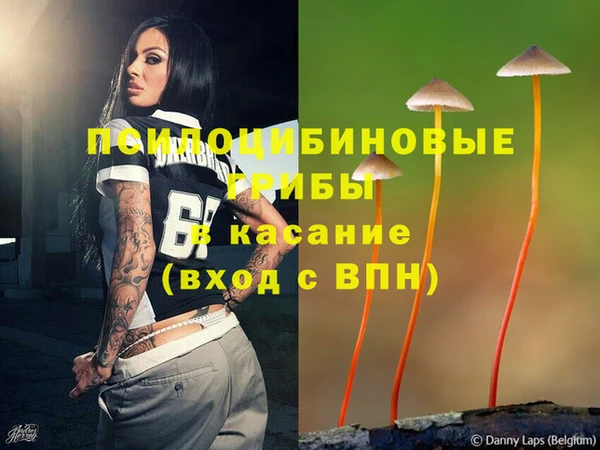 винт Алексеевка