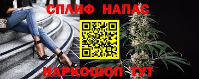 шишки Будённовск