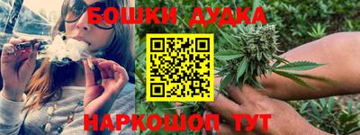 шишки Будённовск