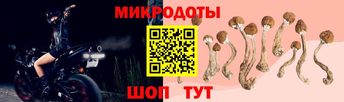 Галлюциногенные грибы мицелий  Галлюциногенные грибы Psilocybe  наркошоп  Вход с VPN  Кыштым 